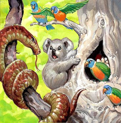 L Anniversaire De Tiko Le Koala Histoire A Lire Ou A Ecouter Pour Enfant Gratuit L Anniversaire De Tiko Le Koala Histoire A Lire Ou A Ecouter Pour Enfant Gratuit